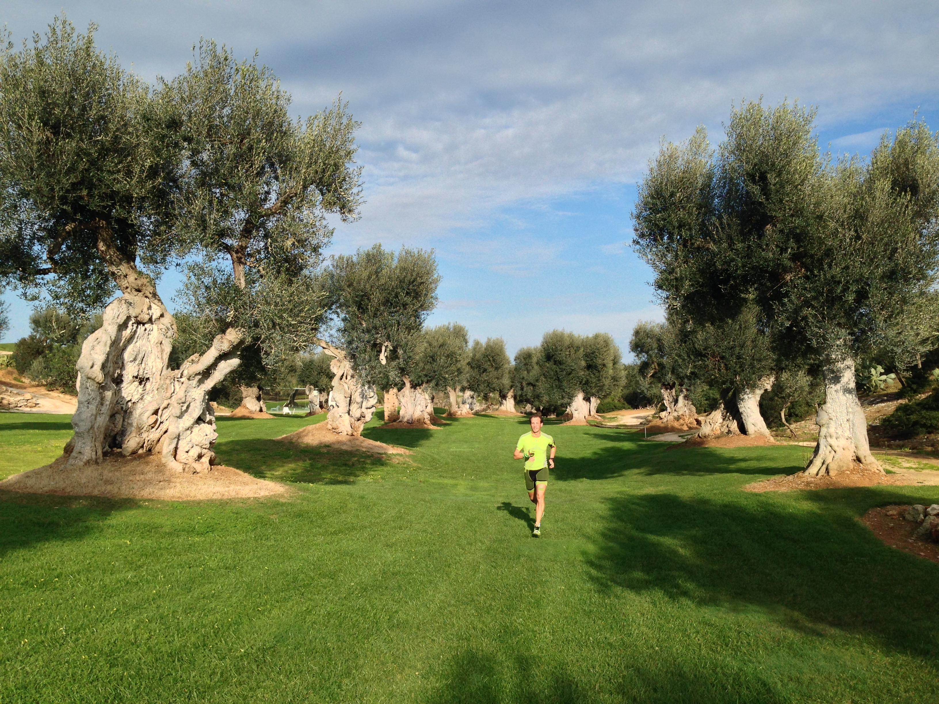 Rocco Forte Masseria Torre Maizza Савеллетри Экстерьер фото